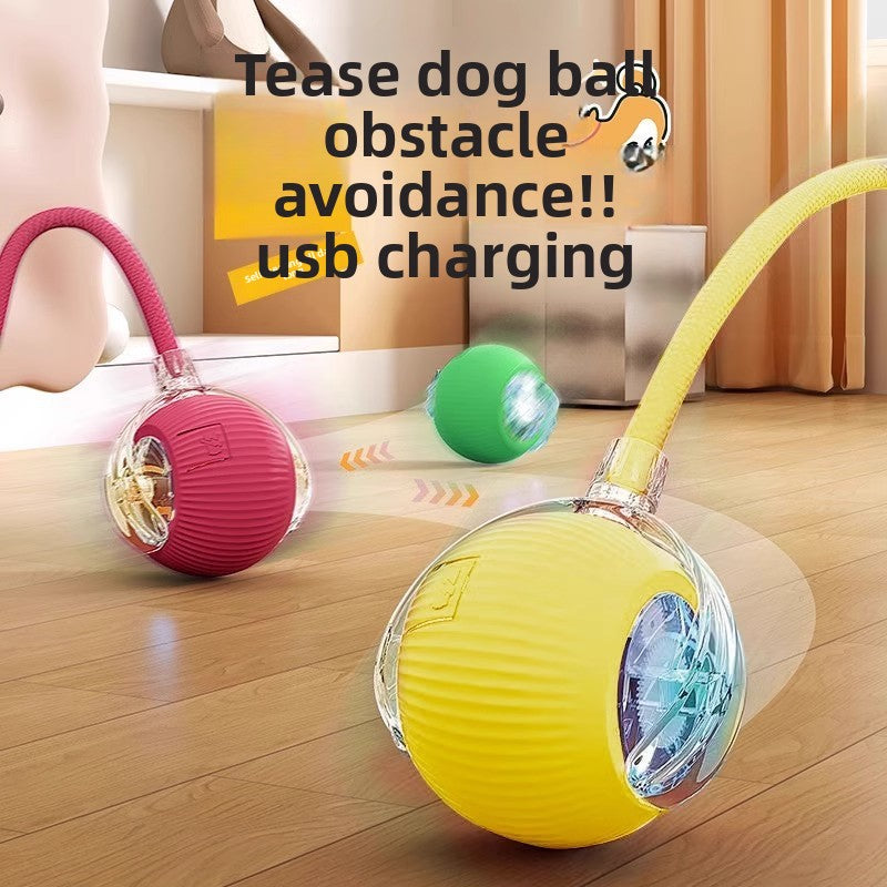 Intelligent Electric Pet Toy - EazeeHaven