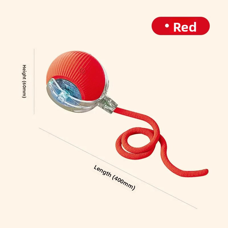 Intelligent Electric Pet Toy - EazeeHaven