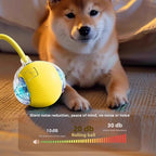 Intelligent Electric Pet Toy - EazeeHaven