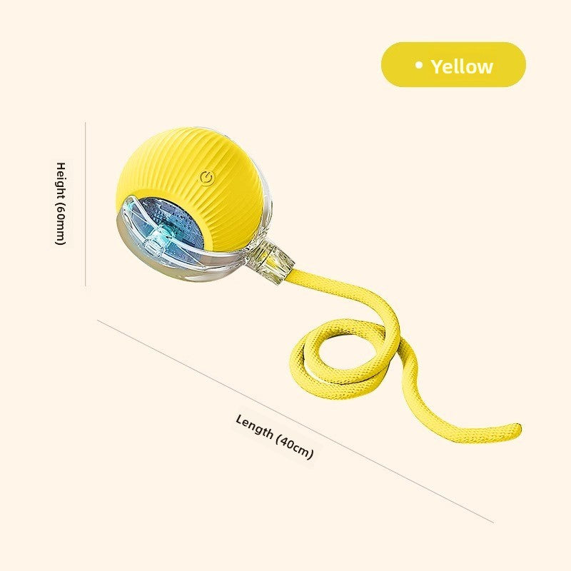 Intelligent Electric Pet Toy - EazeeHaven