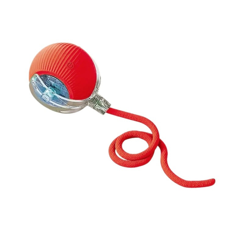 Intelligent Electric Pet Toy - EazeeHaven