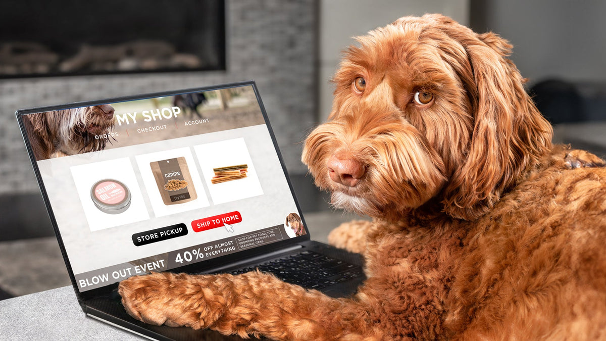 Home Page Banner Image