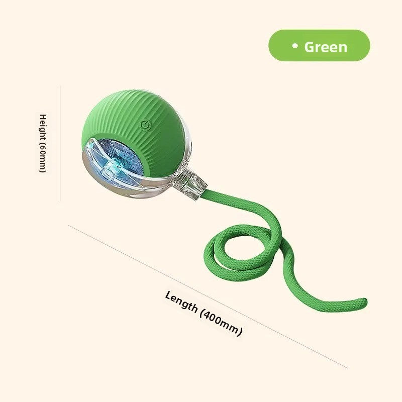 Intelligent Electric Pet Toy - EazeeHaven