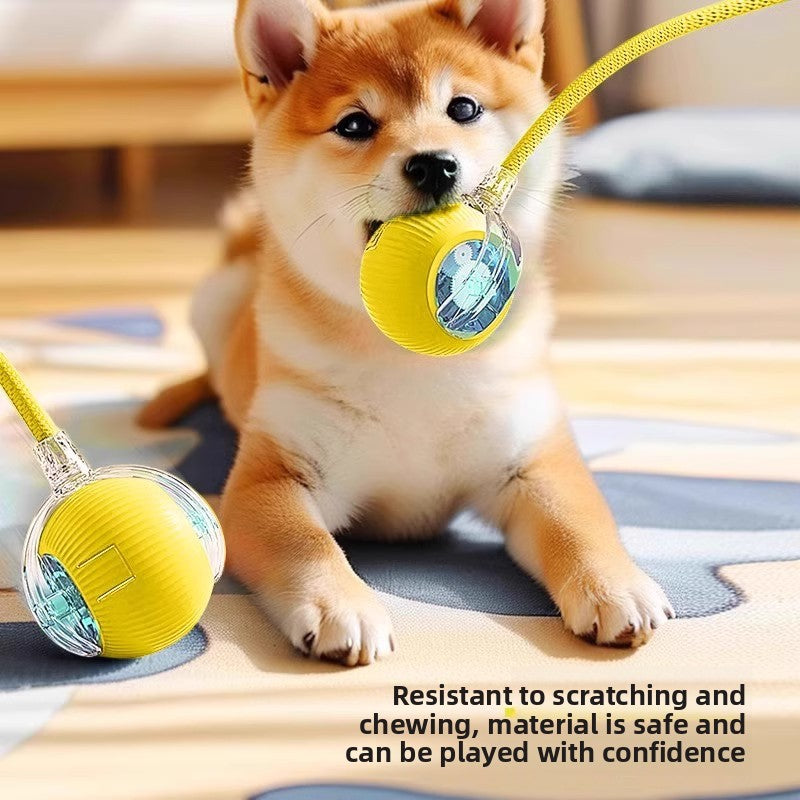 Intelligent Electric Pet Toy - EazeeHaven