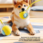 Intelligent Electric Pet Toy - EazeeHaven